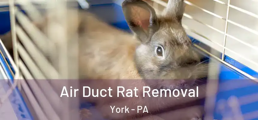 Air Duct Rat Removal York - PA