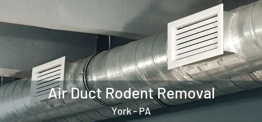 Air Duct Rodent Removal York - PA