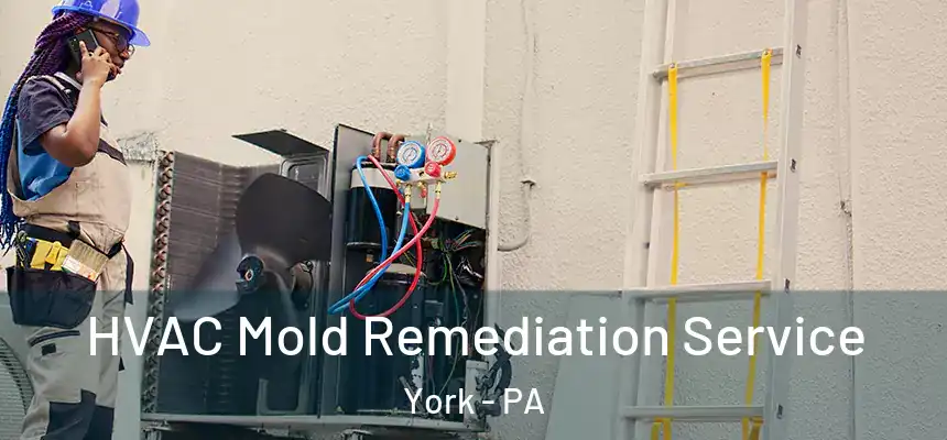  HVAC Mold Remediation Service York - PA