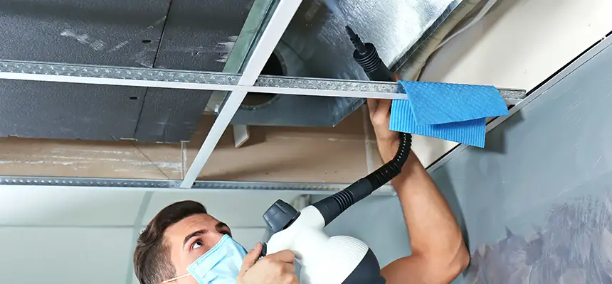 Our Air Duct Rodent Removal Services in York, PA