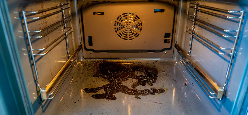 Our Dryer Vent Mold Cleaning Services in York, PA