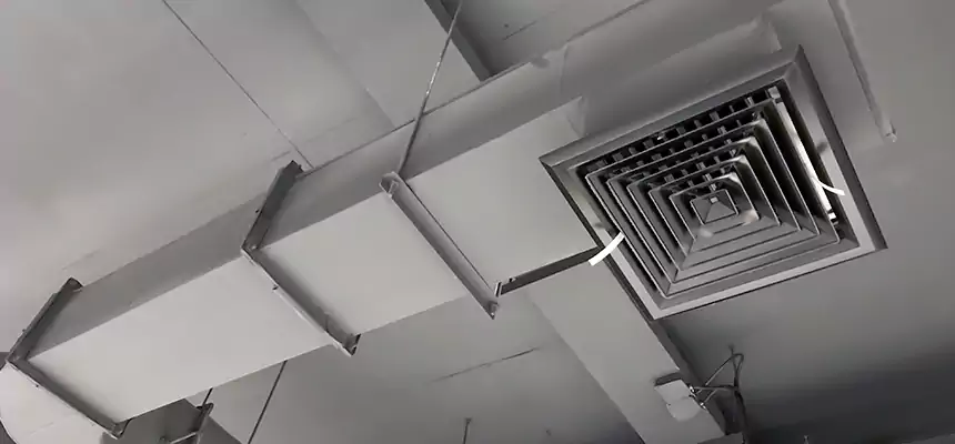 Our Pest Removal From Ducts Services in York, PA