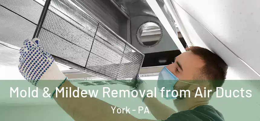 Mold & Mildew Removal from Air Ducts York - PA