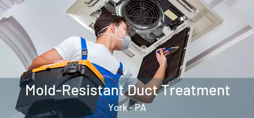  Mold-Resistant Duct Treatment York - PA