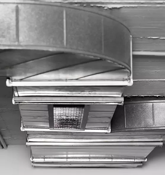 Professional Air Duct Pest Removal in York, PA