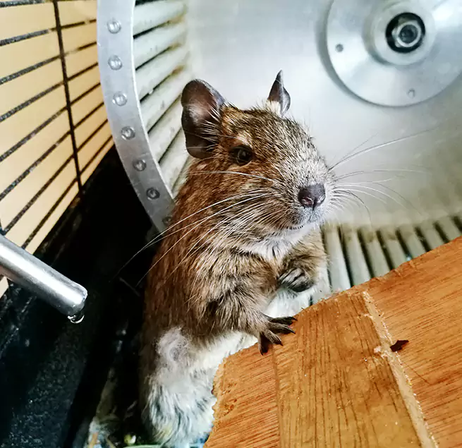 Why Homeowners & Businesses Trust Us York, PA